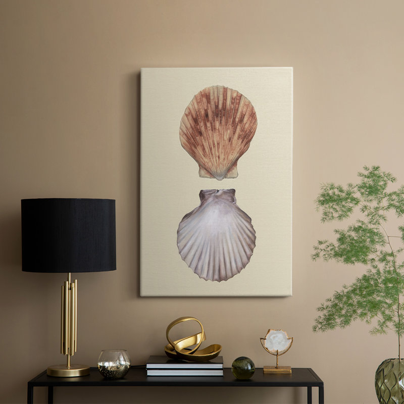 Coquilles bivalves III - Cavas enveloppés de galerie, H 27 po x l 18 po