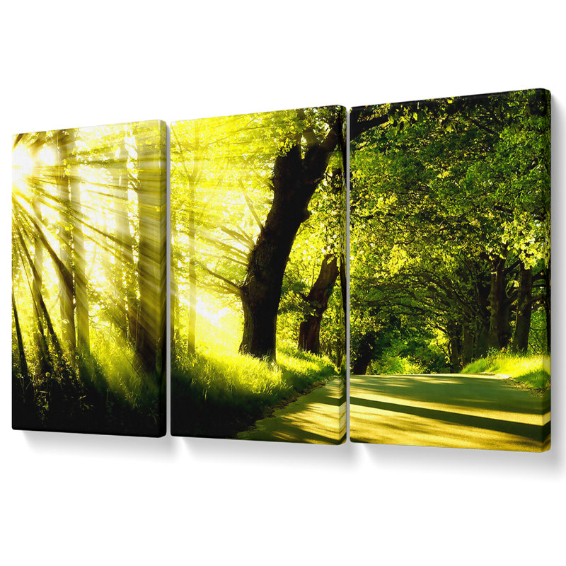 Green Nature Dual Monitor-Other - 3 Piece Wrapped Canvas Print, 81.3cm H x 163cm W