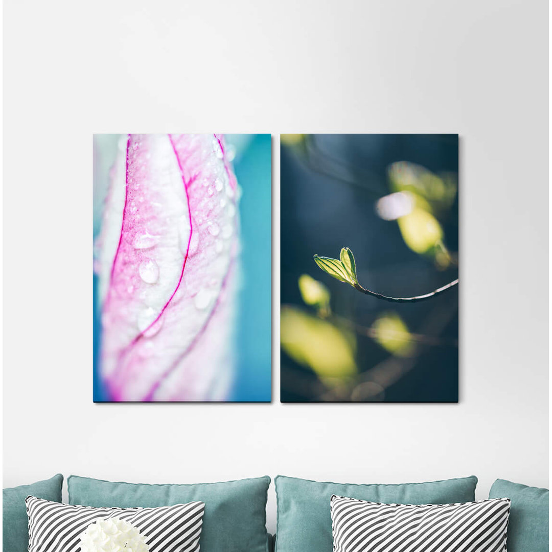 2-tlg. Leinwandbilder-Set - Fotografie „Blossom Leaf Raindrops Branch Spring Softly Tender”