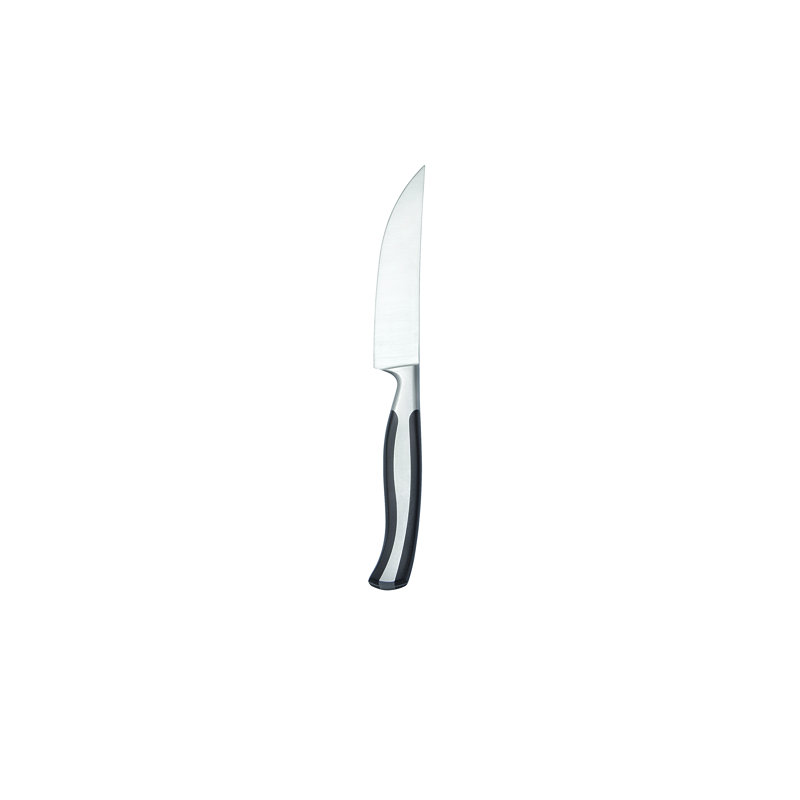 Oneida Hospitality Caspian 12 Piece Steak Knife Set