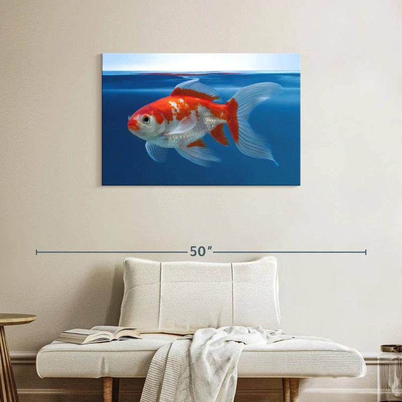 Brampt Shubunkin Aquarium Goldfish, 24" H x 36" W