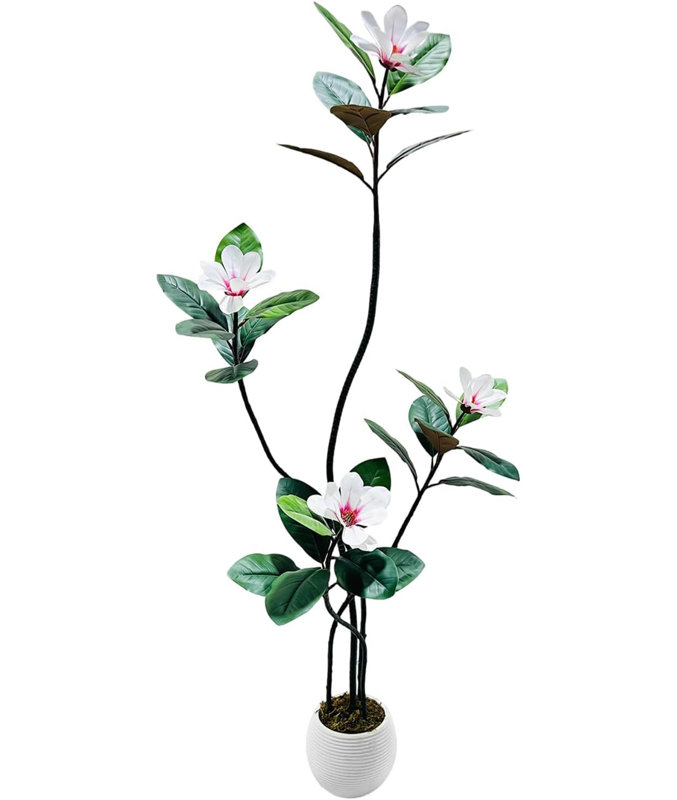 Arrangement