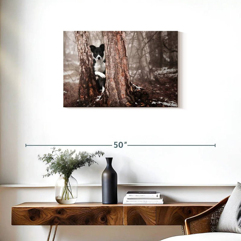 Brampt Playful Border Collie, 20'' H x 30'' W