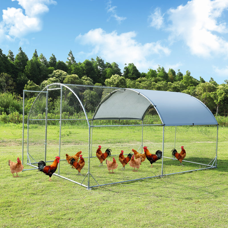 Dobri 121 Square Feet Chicken Coop For Up To 20 Chickens