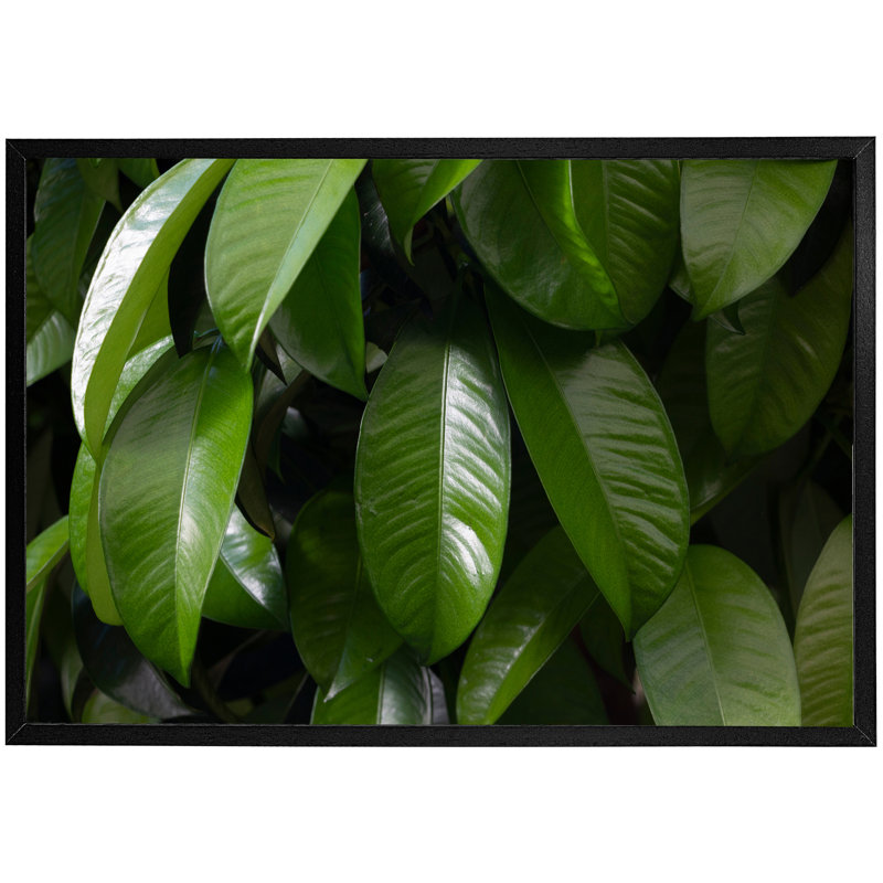 Aadriti Single Picture Frame Print, Black Framed, 76cm H x 114cm W x 4cm D