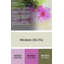 Tapis rose Paint-1603505783