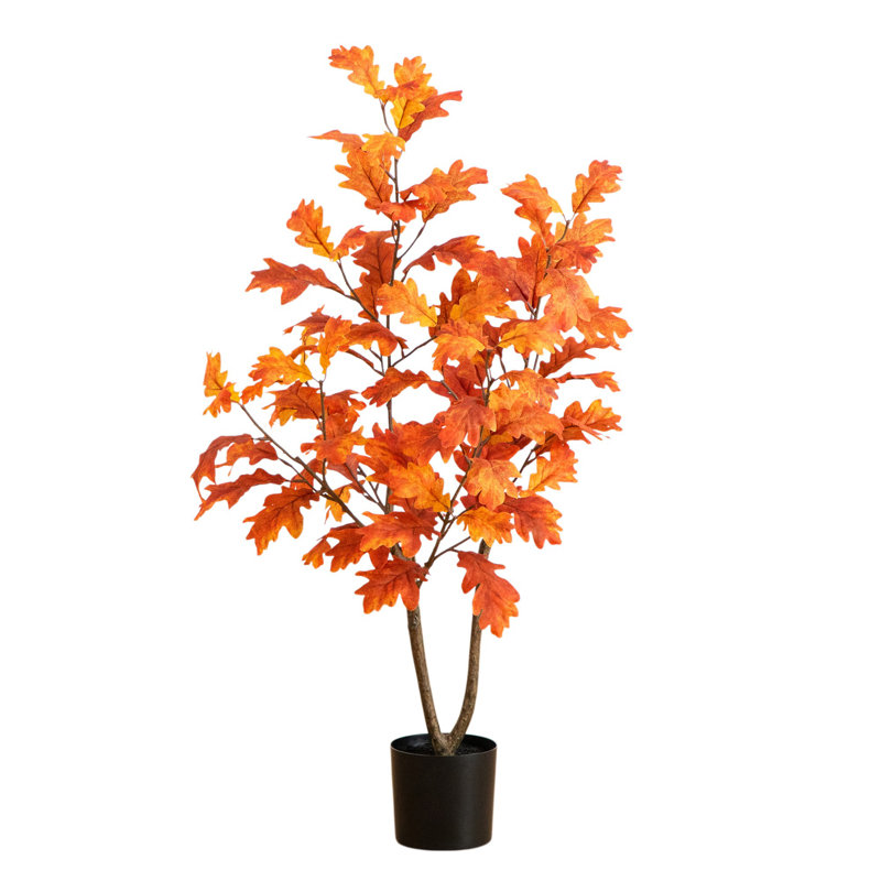 3 pi. Arbre d'automne