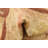 Olson Brown Rug