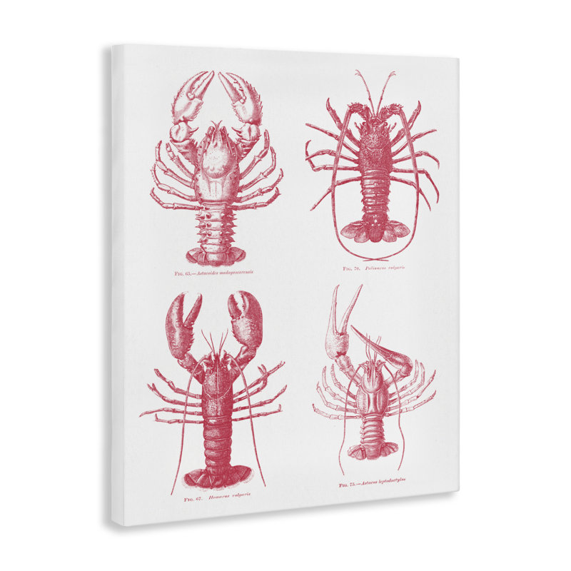 Timeless Lobsters Species, H 30 po x l 24 po
