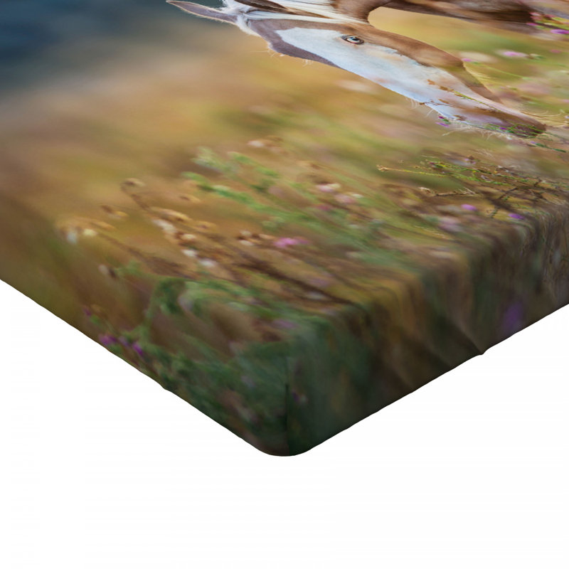 Microfiber Fitted Sheet, Full Fitted Sheet