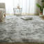Chalandra Solid Colour Shag Area Rug-87058077