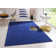 Fancy Tufted Blue Rug
