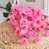 Rose sélectionné