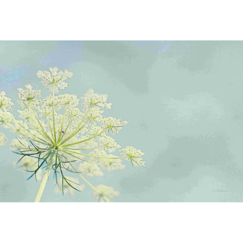 " Flower On Blue I " by Elizabeth Urquhart Painting Print, 8" H x 12" W