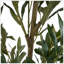 Olive artificielle avec pot-1631018582