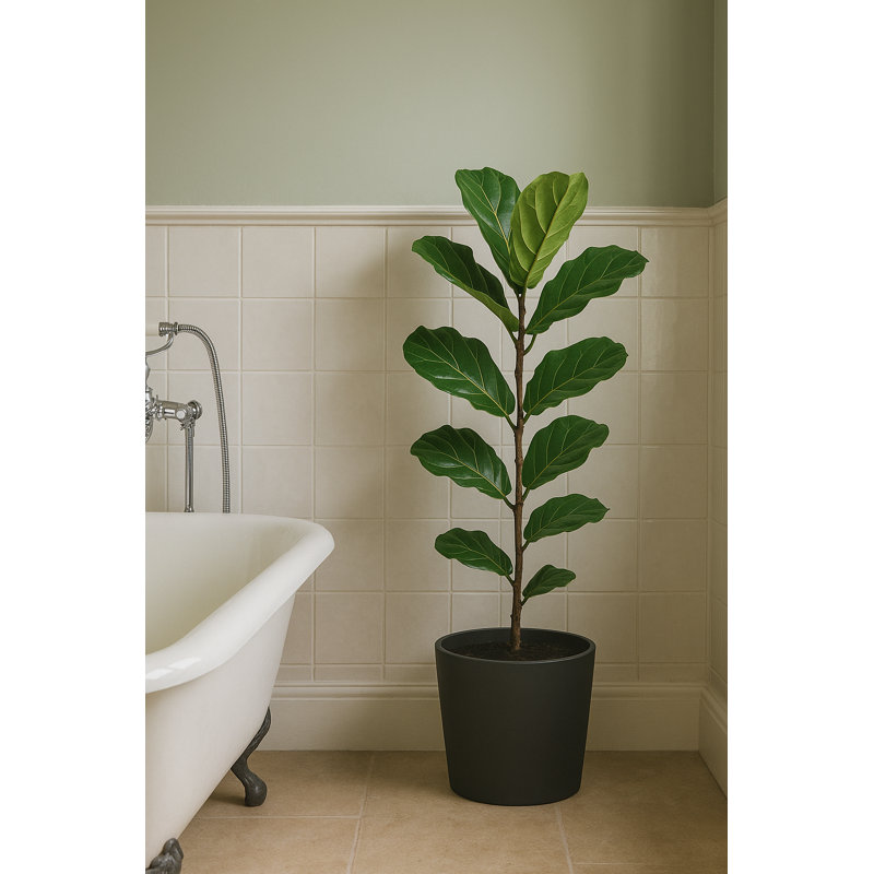 Robin Round Bucket Planter, Contemporary Concrete Effect, Round Indoor and Outdoor Plant Pot with Drainage Hole, Black