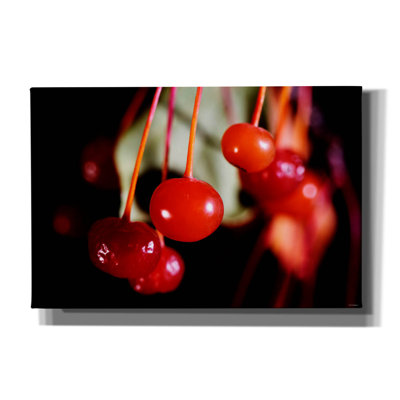 Autumn 16' by Gordon Semmens Canvas Wall Art, 40" x 26"