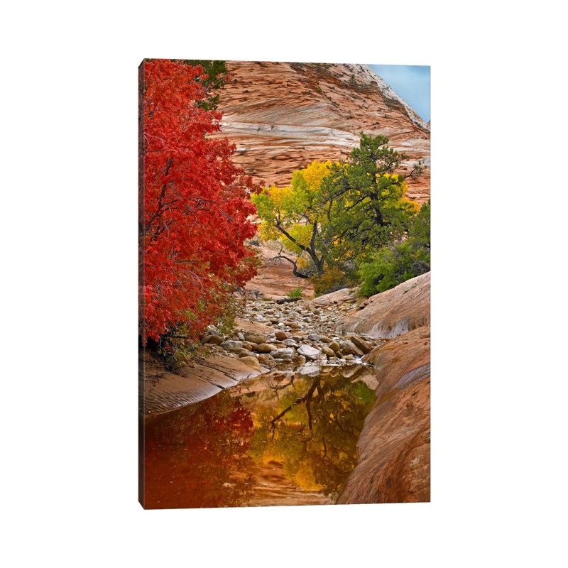 Maple And Cottonwood Autumn Foliage, Zion National Park by Tim Fitzharris - Wrapped Canvas Print