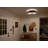 4 - Light Shaded Pendant-411491963-411491962