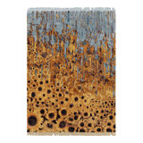 Rug & Kilim’S Contemporary Rug With Sunflowers