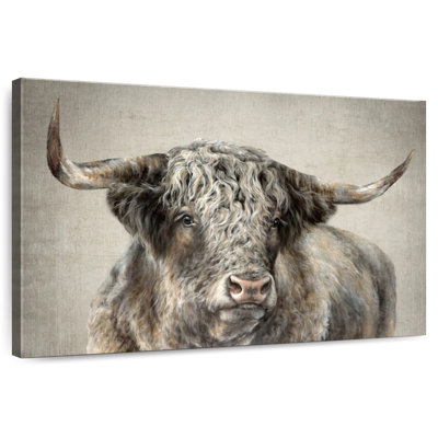 Grand Kyloe Bull