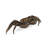 Maitland Smith Animals Figurines & Sculptures