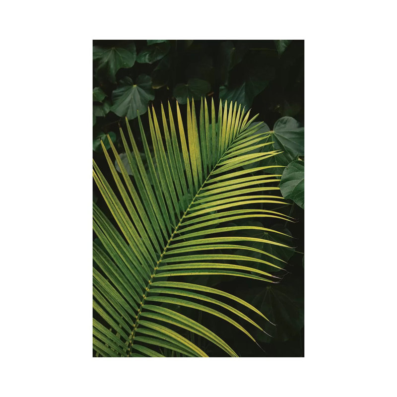 Tropical Hawaii II by Bethany Young - Print on Canvas, Wrapped Canvas, 45.72cm H x 30.48cm W x 1.91cm D