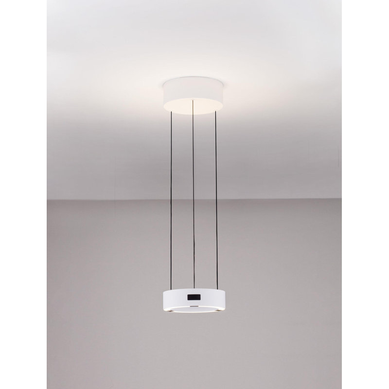 - Light Pendant