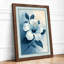 White Hibiscus in Bloom Botanical - Framed Print-1132642249-1132642253