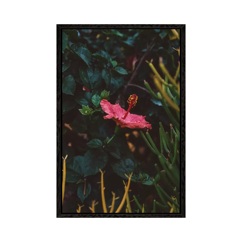 California Bloom by Bethany Young - Print on Canvas, 66.04cm H x 45.72cm W x 3.81cm D, Black Framed