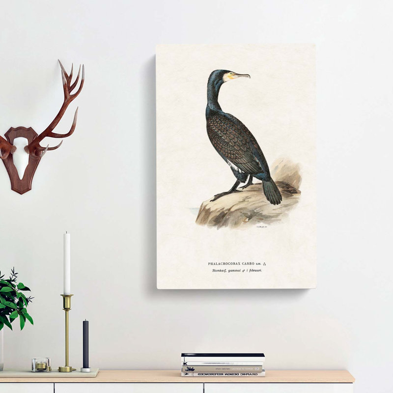 Great Cormorant by Von Wright - Wrapped Canvas, 91cm H x 60cm W x 3cm D