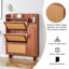 Modern Minimalist MDF Shoe Cabinet With Multi-Function Storage, Ideal For Nordic And Industrial Styles