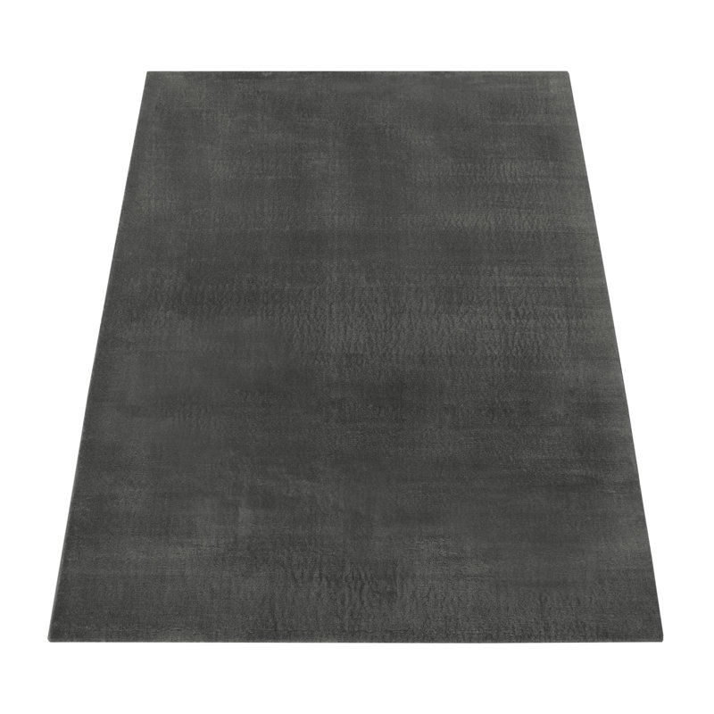 Zottelteppich Aafreen, Rectangle 300 x 400cm