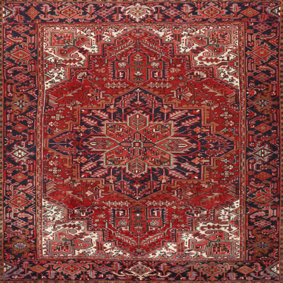 Zaara Oriental Indoor Rug
