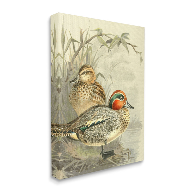 «Ducks With Pond Botanicals Wrarap Canvas» par Gail Fraser sur toile, H 40 po x l 30 po