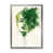 Impression argent sur toile encadrée
