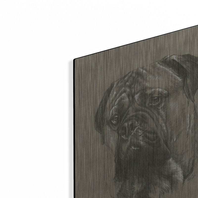 "Bull Mastiff" par Barbara Keith, H 16 po x l 12 po
