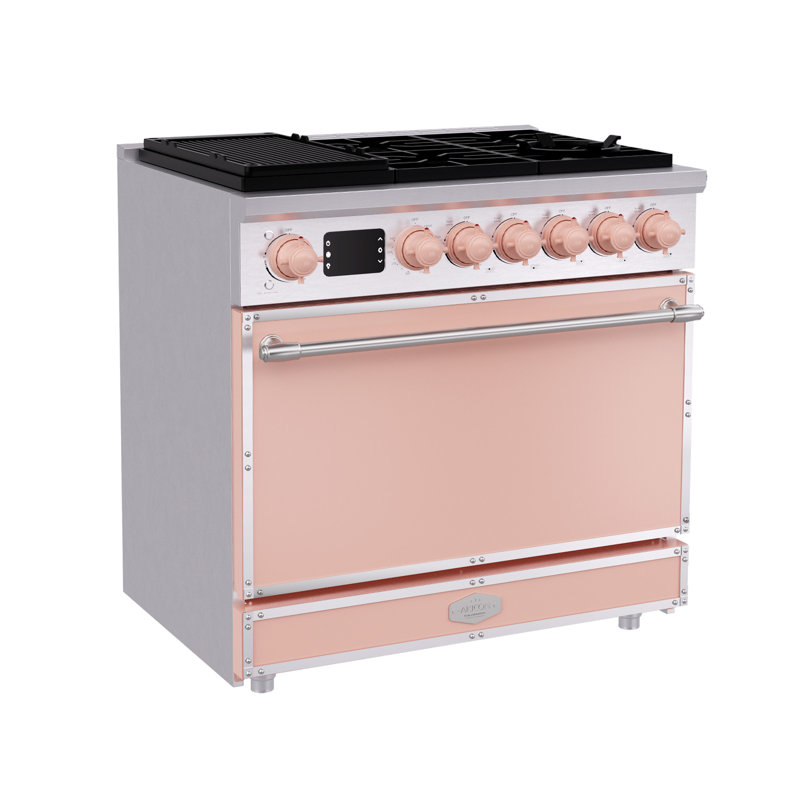 Combo four à gaz autoportant Akicon, avec brûleurs scellés, four à convection rapide, combustible convertible (NG / LP), grille en fonte durable (BPSBPSB3)