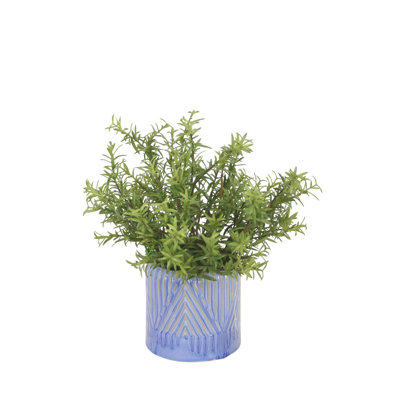 Rosemary in Blue Planter