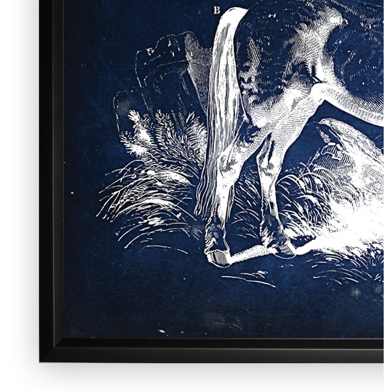 « équin plate v », impression, H 27 po x l 39 po x P 2 po, Cadre noir, Pas de tapis