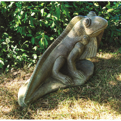 SunKissed Iguana
