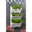Aakanksha Handmade Wood Wall Planter-735864302