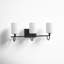 Rowley 3 Light Frosted Dimmable Vanity Light-1903484775