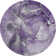 Premium Machine Washable Cerrito AMF518 Purple Rug