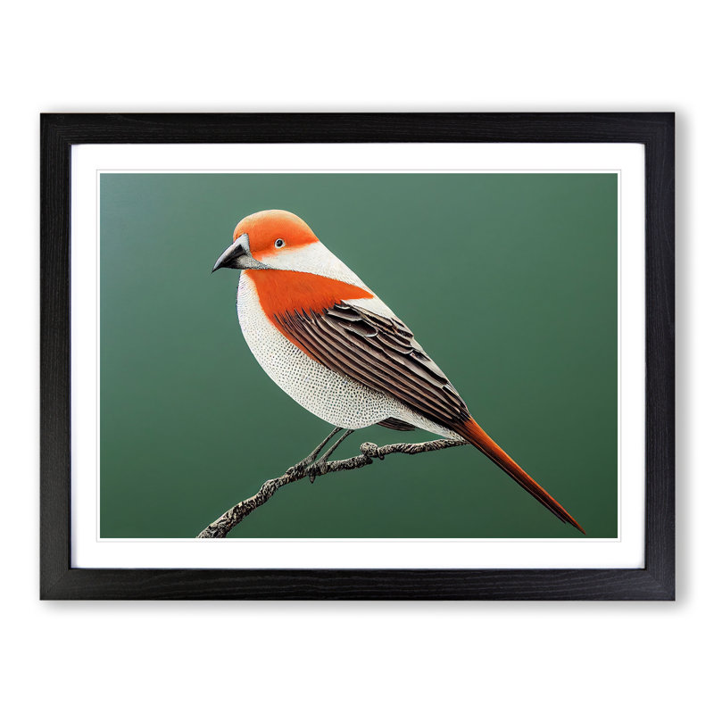 Engaging Bird - Single Picture Frame Print, Black Framed, 34cm H x 46cm W x 2cm D