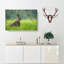 Lone Hare Painting - Wrapped Canvas-56654648