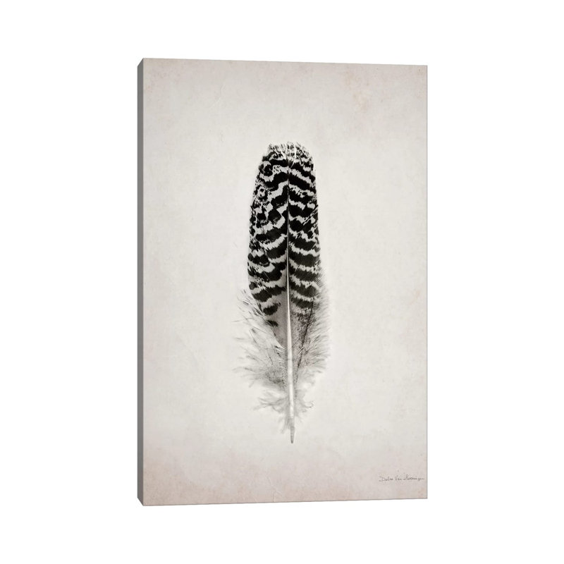 Feather I 1 Piece Wall Art on Canvas, 101.6 cm H x 66.04 cm W x 1.91 cm D, Wrapped Canvas