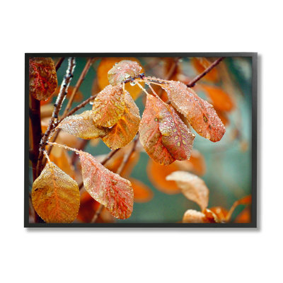" Autumn Tree Leaves Water Droplets Fall Foliage " by Gail Peck