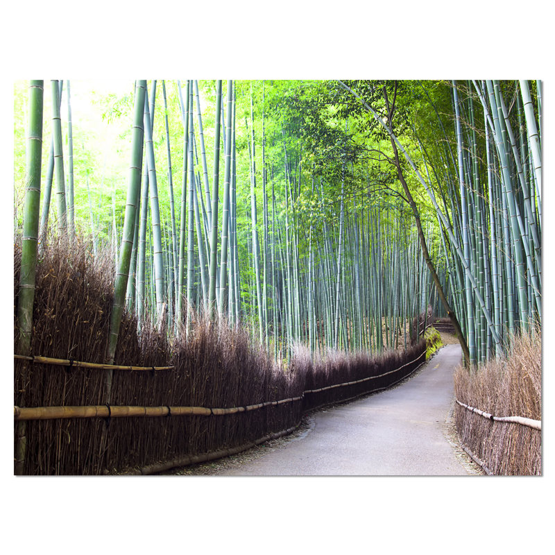 «Kyoto Bamboo Forest Pathway», reproduction de photo sur toile tendue, H 20 po x l 20 po x P 1 po