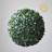 Faux Boxwood Topiary-517917584-459724973
